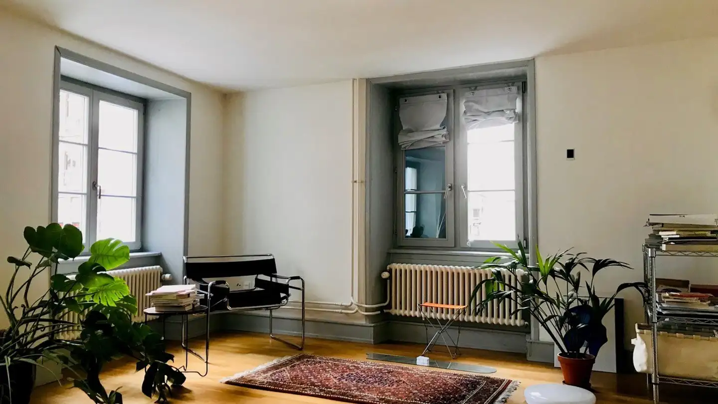 Apartment for rent - Greifengasse 4, 4058 Basel - Photo 3