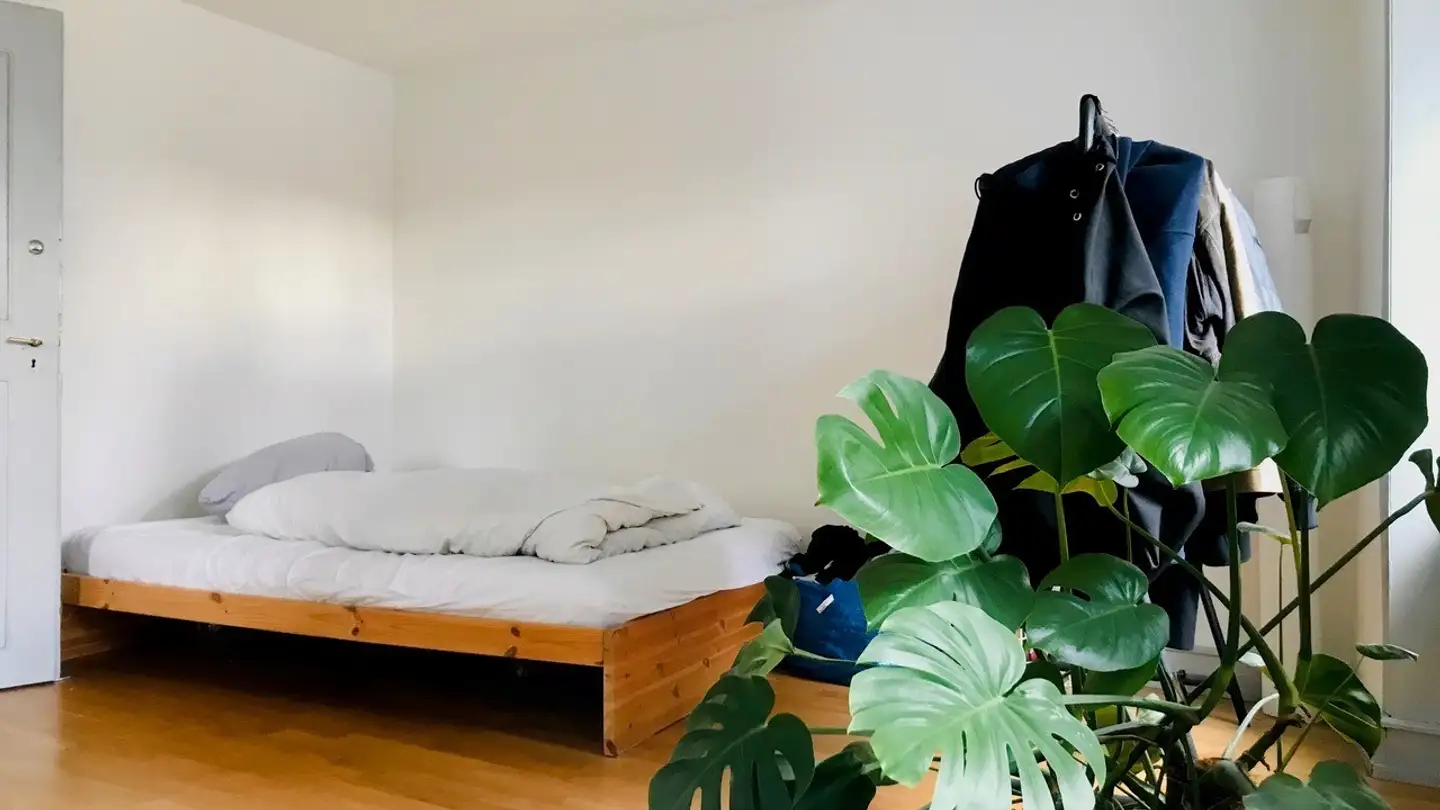 Apartment for rent - Greifengasse 4, 4058 Basel - Photo 4