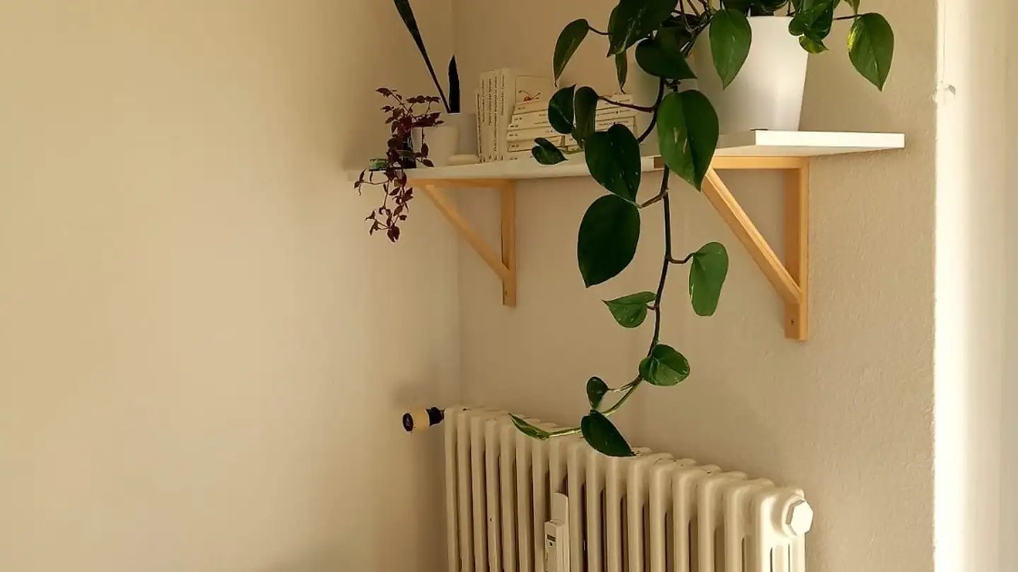 Appartamento in affitto - Steigstrasse 3, 8280 Kreuzlingen - Foto 4