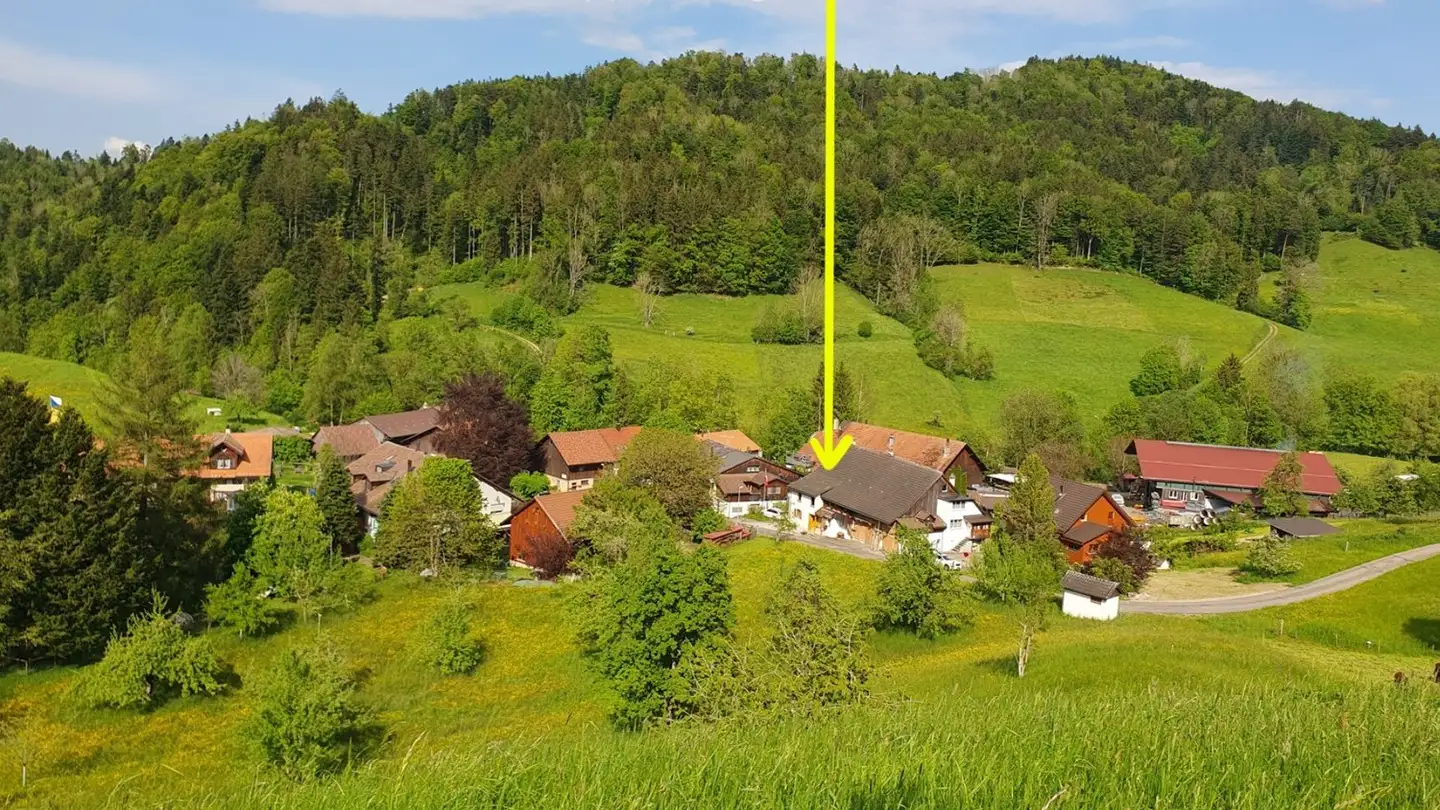 Einfamilienhaus mieten - 8344 Bäretswil