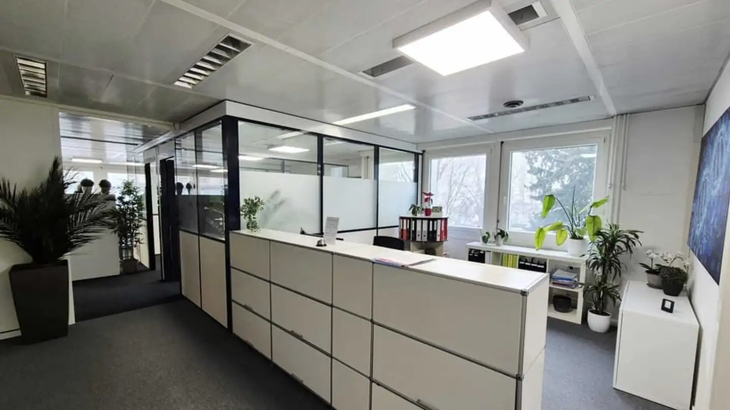 Commerciale in affitto - Rue Saint-Pierre / St. Peter-Gasse 18a, 1700 Fribourg - Foto 4