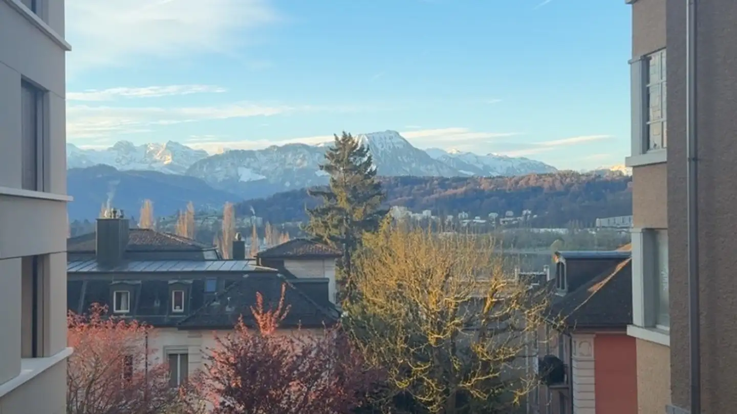 Single room for rent - 6006 Luzern - Photo 2