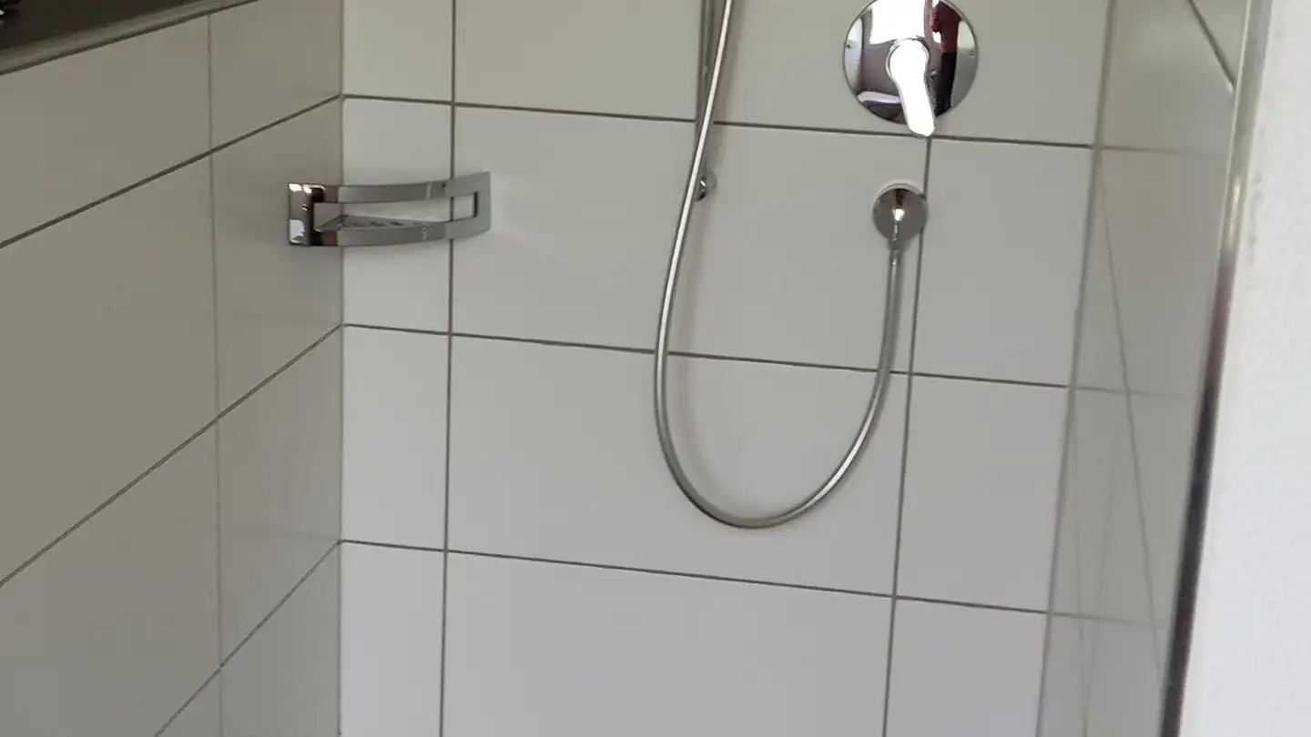 Attic flat for rent - Hinter Schwendi, 6010 Kriens - Photo 4