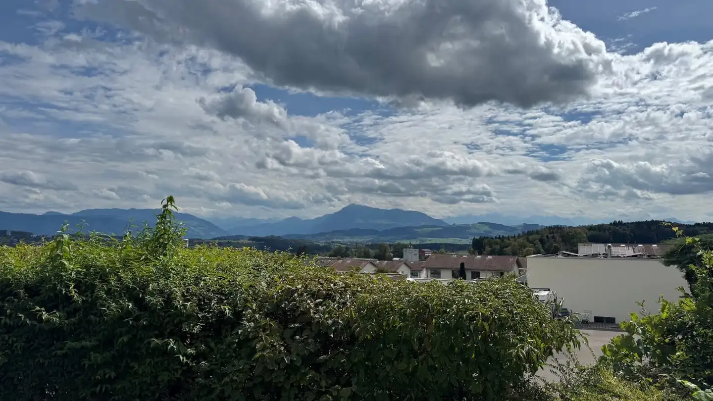 Einfamilienhaus kaufen - Freudenberg 79, 5643 Sins - Foto 2