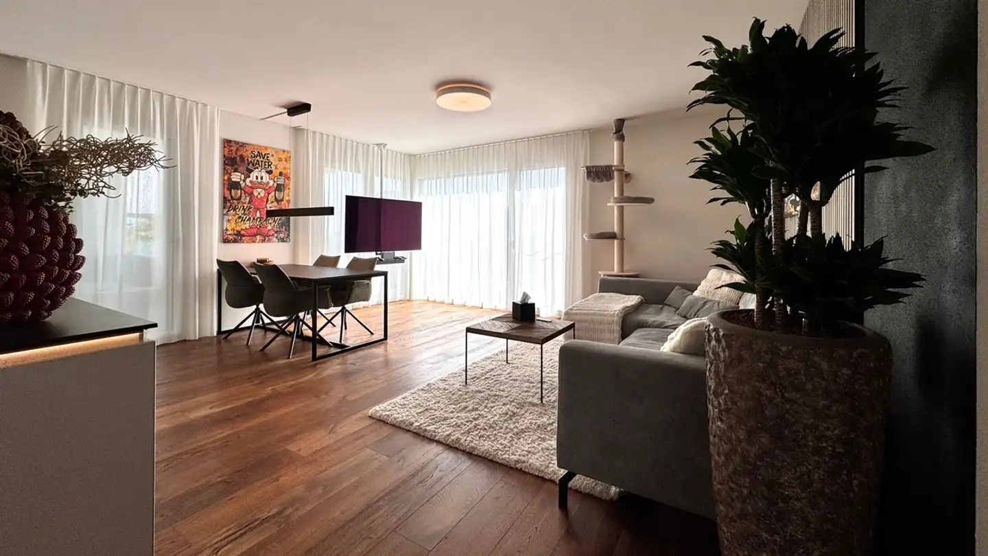 Appartamento in affitto - 8934 Knonau