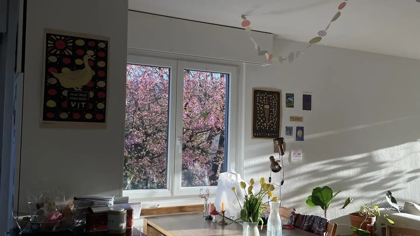 Single room for rent - Untermattweg 30, 3027 Bern - Photo 3
