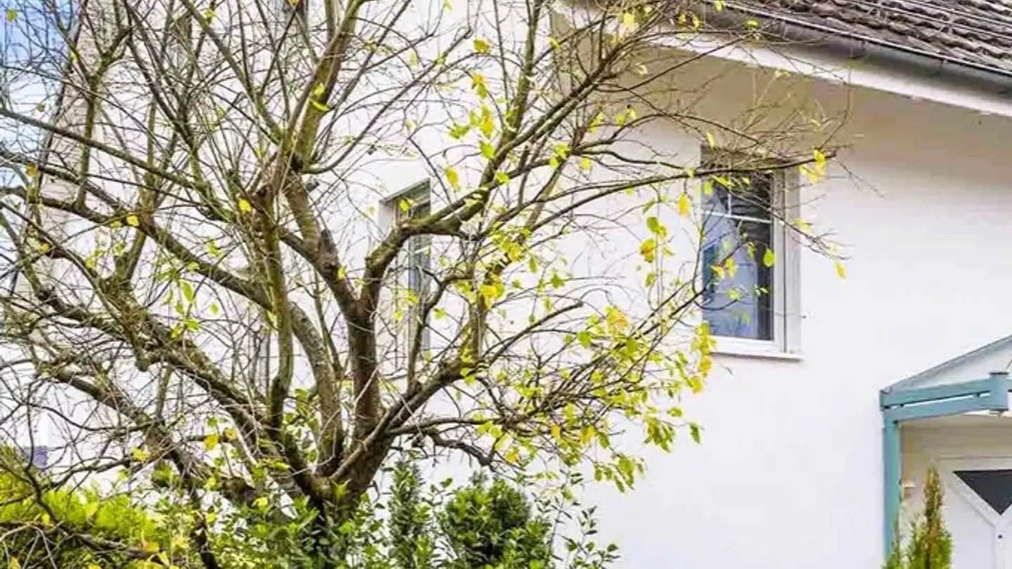 Duplex for sale - 8954 Geroldswil