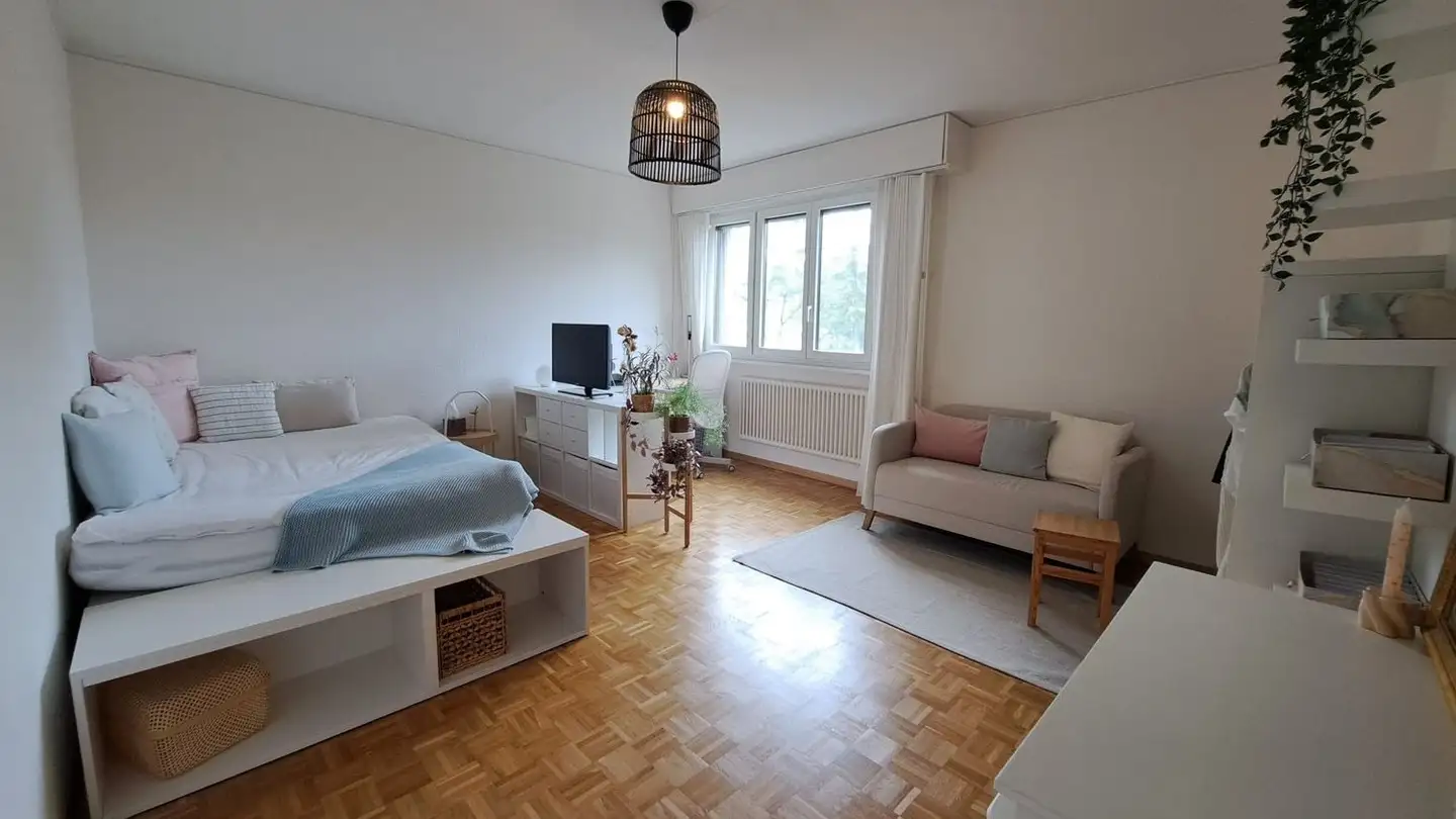 Chambre à louer - Avenue Du Curé- Baud, 1212 Grand-Lancy