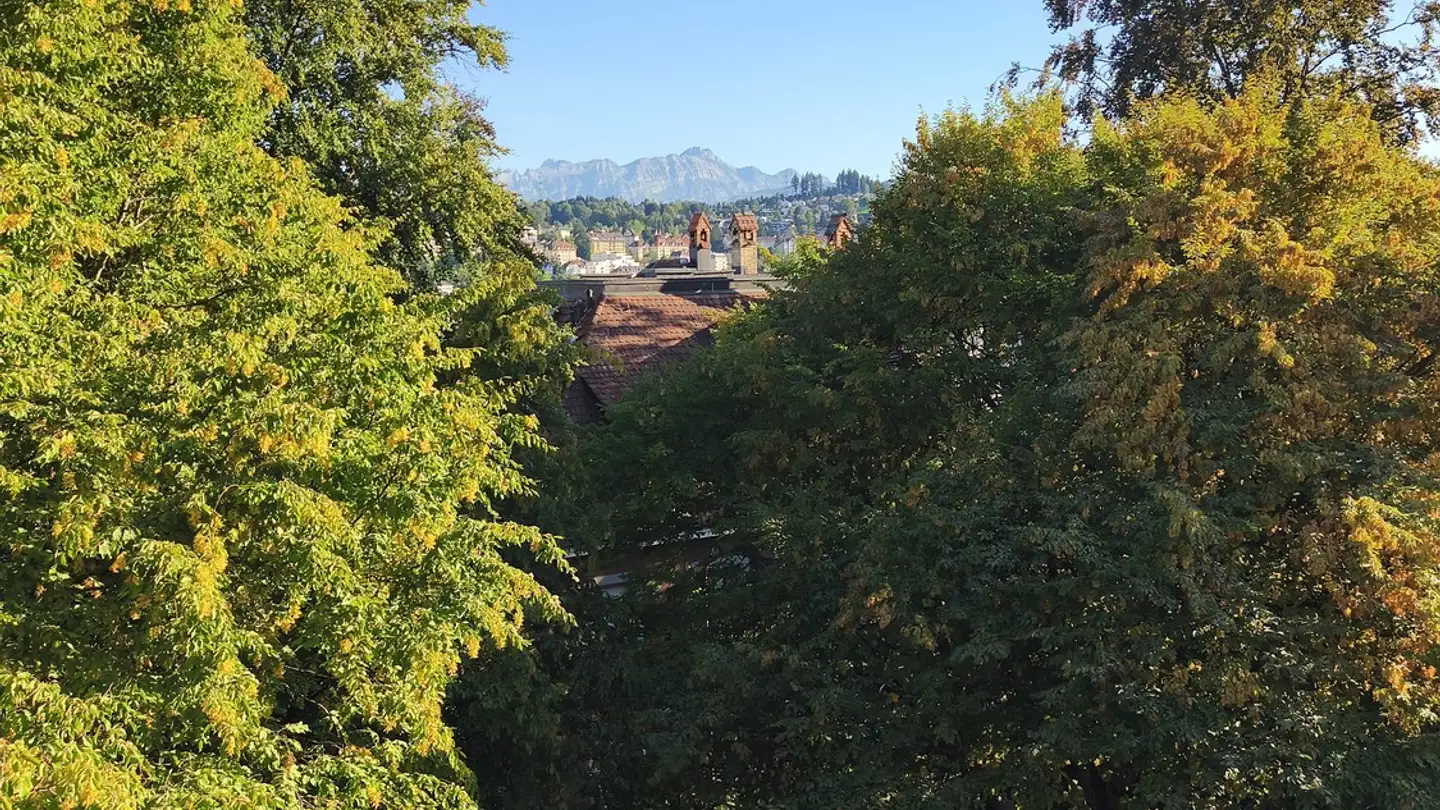 Apartment for rent - Dufourstrasse 101, 9000 St. Gallen - Photo 2