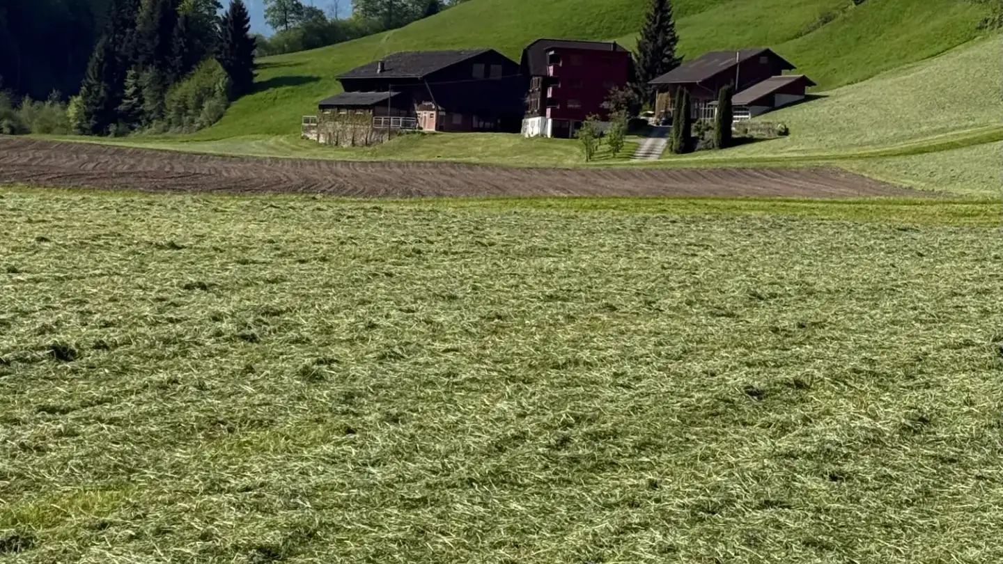 Appartamento in affitto - Klungelisei 1, 6110 Wolhusen