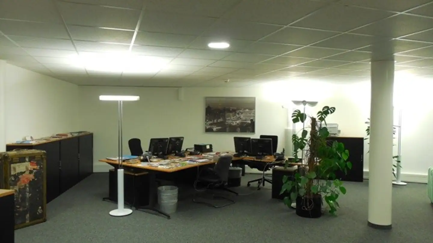 Office space for rent - Jacob Burckhardt-Strasse 88, 4052 Basel - Photo 2