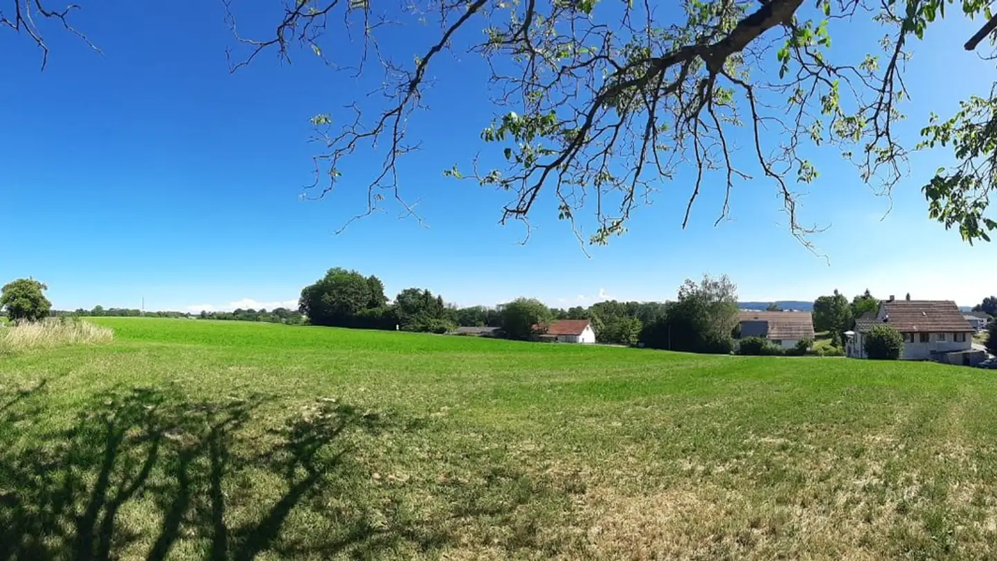 Constructible plot for sale - 8566 Neuwilen - Photo 3