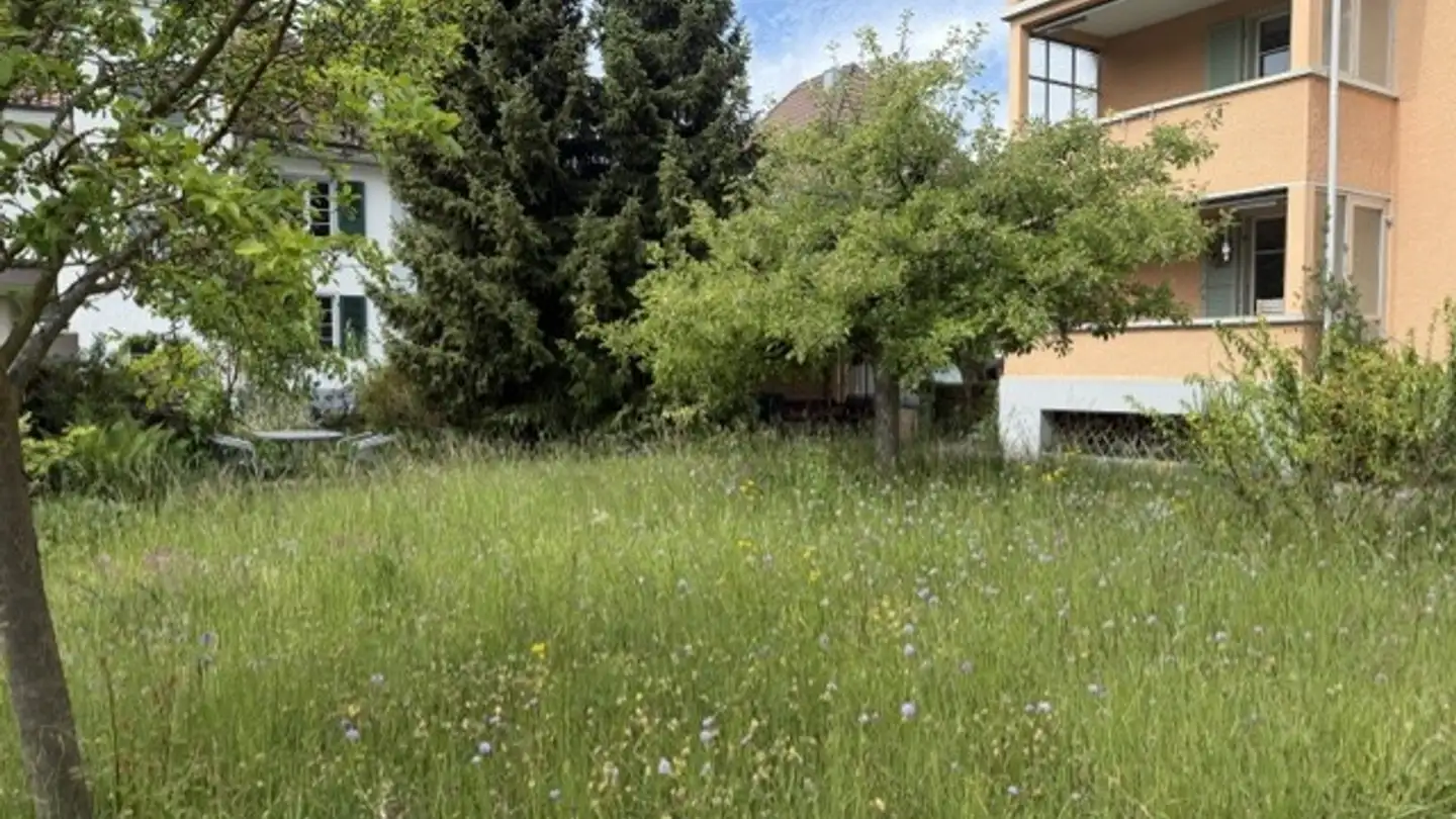 Appartamento in affitto - Henri-Dunant-Strasse 22, 3600 Thun - Foto 3