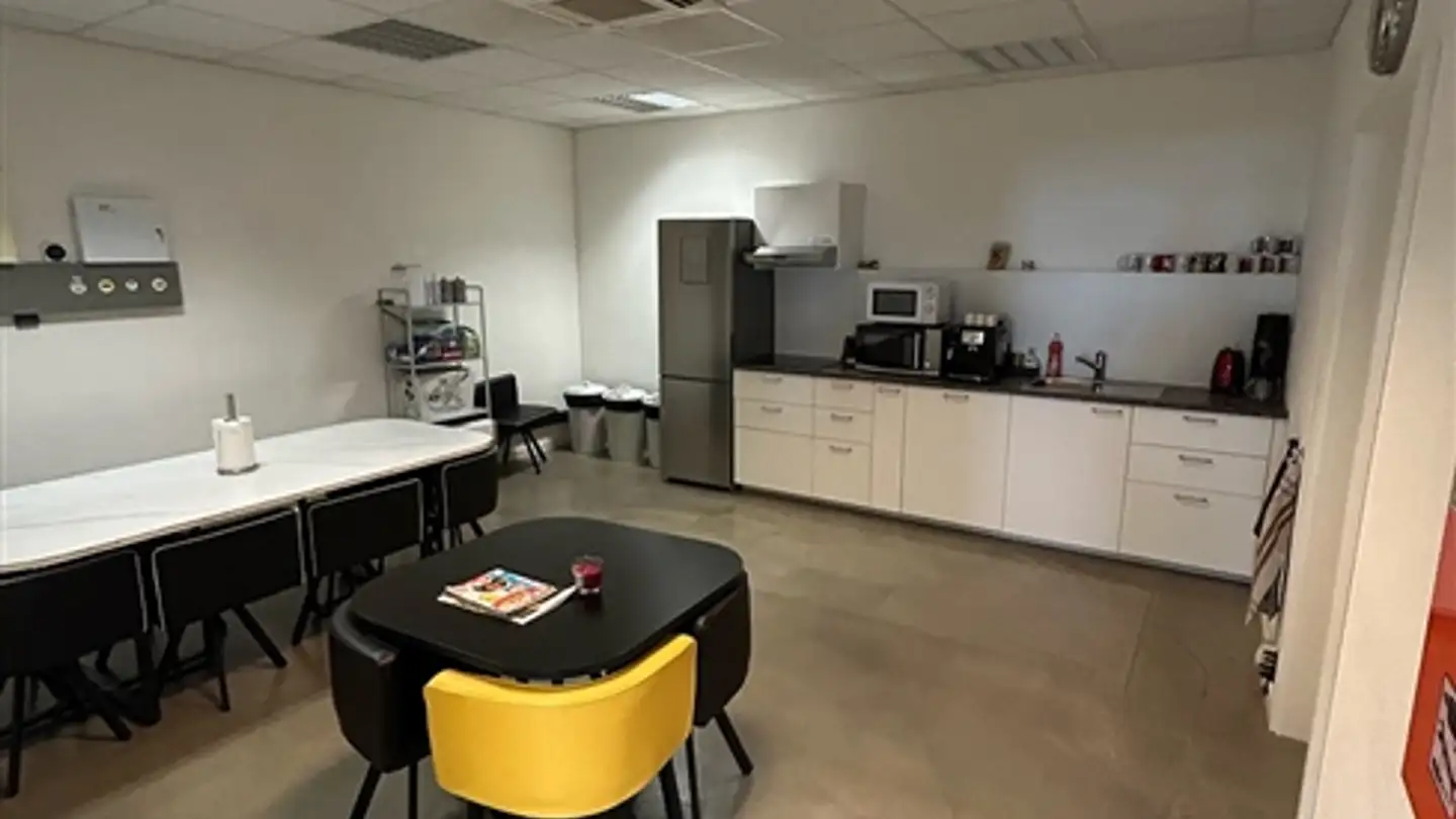 Appartamento in affitto - Chemin Des Aulx 18, 1228 Plan-les-Ouates - Foto 4