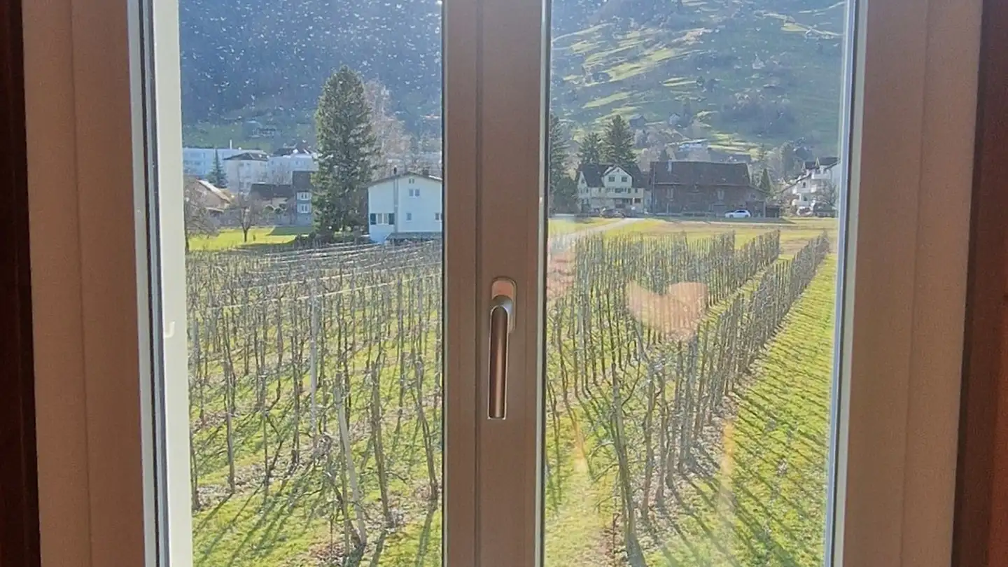 Stanza singola in affitto - Hochhausweg 2, 9470 Werdenberg - Foto 4