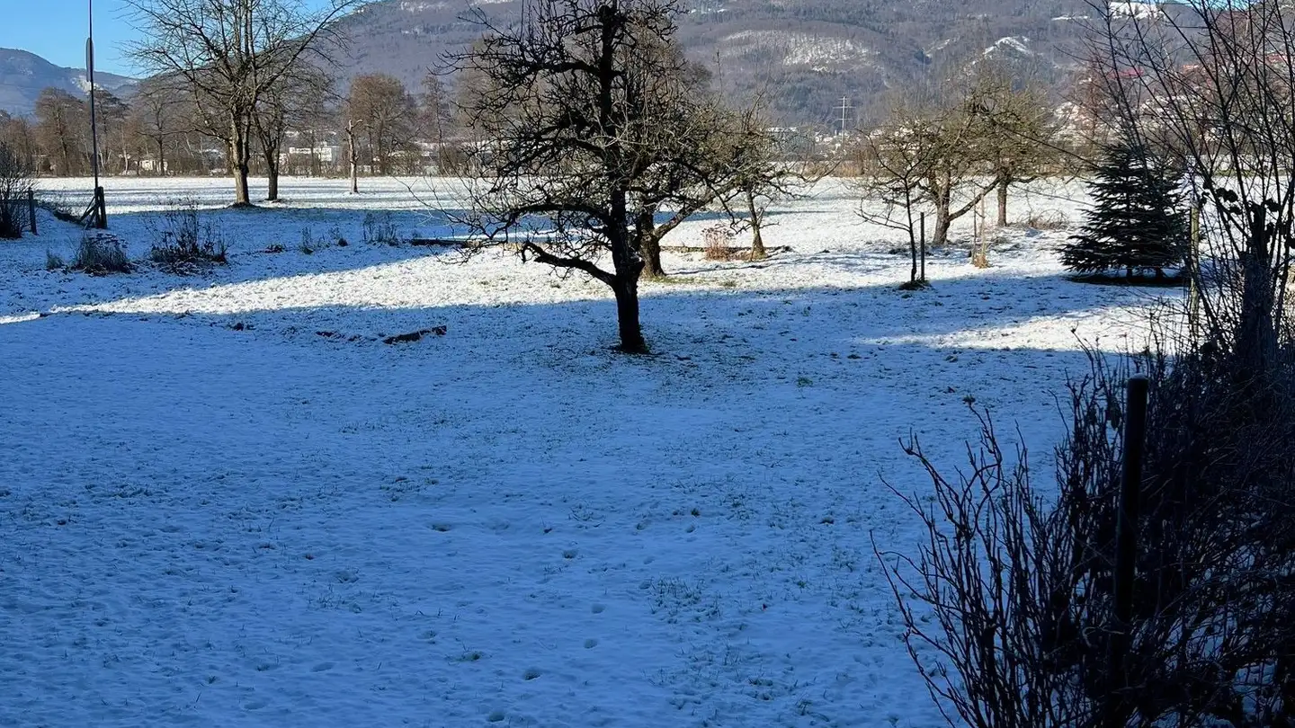 Fattoria in vendita - Dorfstrasse 19, 4623 Neuendorf - Foto 3