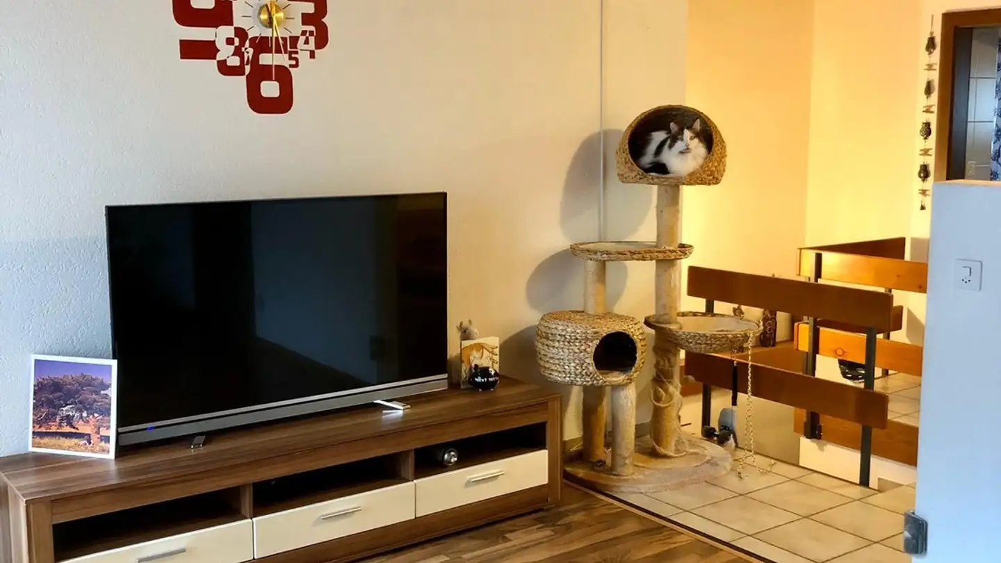 Appartement à louer - Staatsstrasse 100, 9463 Oberriet SG