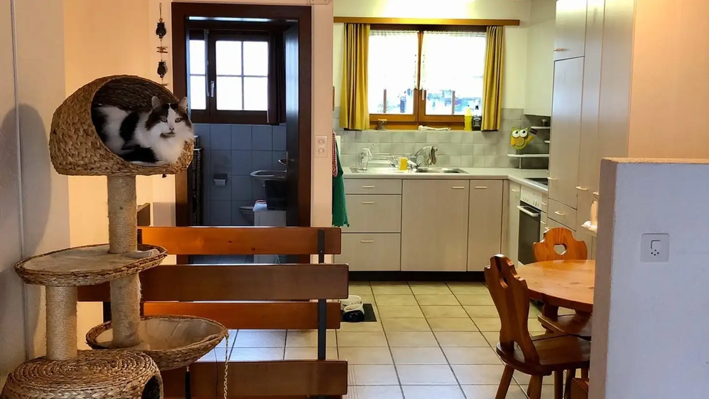 Appartement à louer - Staatsstrasse 100, 9463 Oberriet SG - Photo 3