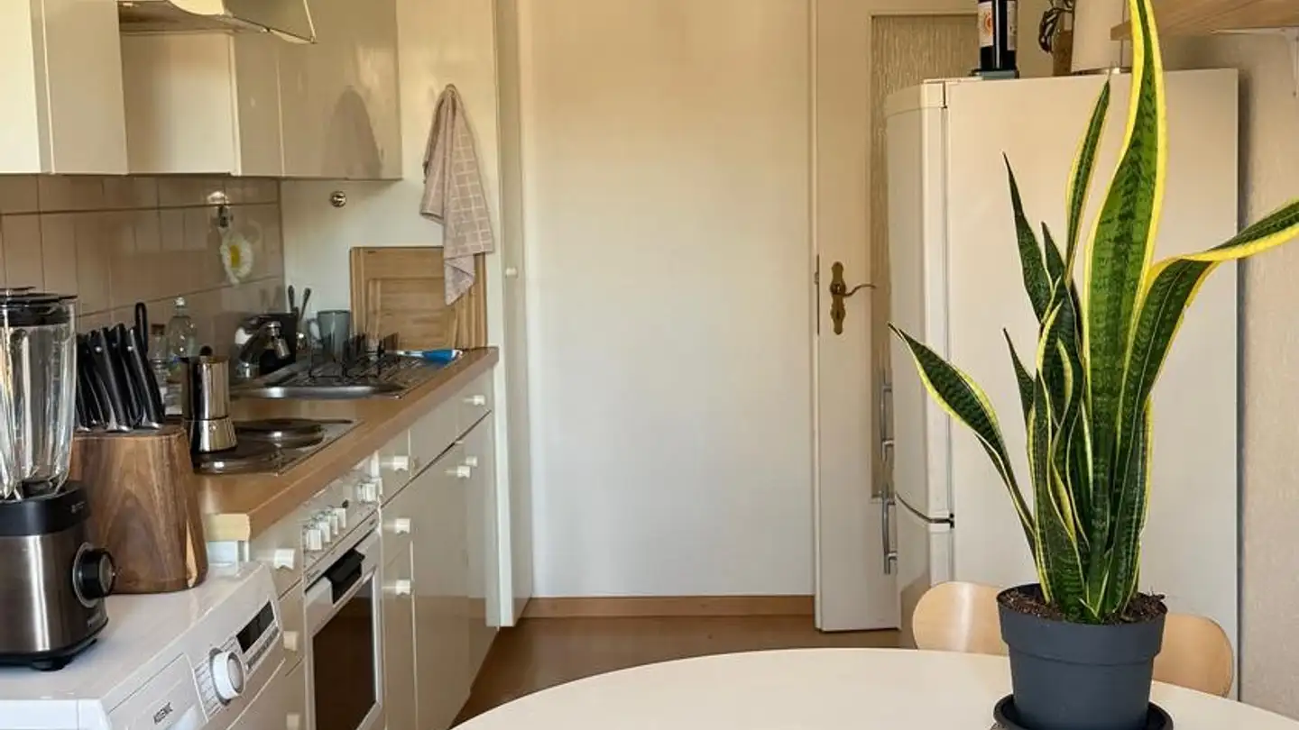 Wohnung mieten - Zurlindenstrasse 21, 8003 Zürich - Foto 3