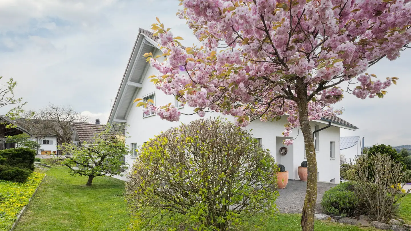 Maison individuelle à vendre - Schrammweg 8, 8905 Islisberg - Photo 3