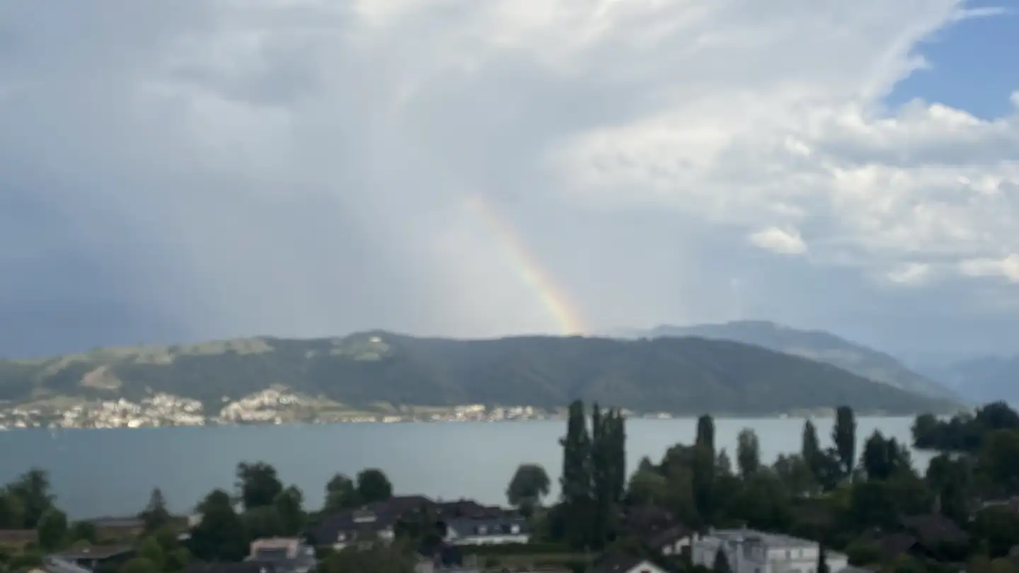Appartement meublé à louer - 6333 Hünenberg See - Photo 4