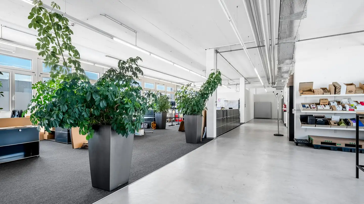 Edificio ad uso misto in affitto - Route du Nant-d'Avril 107, 1242 Satigny - Foto 3