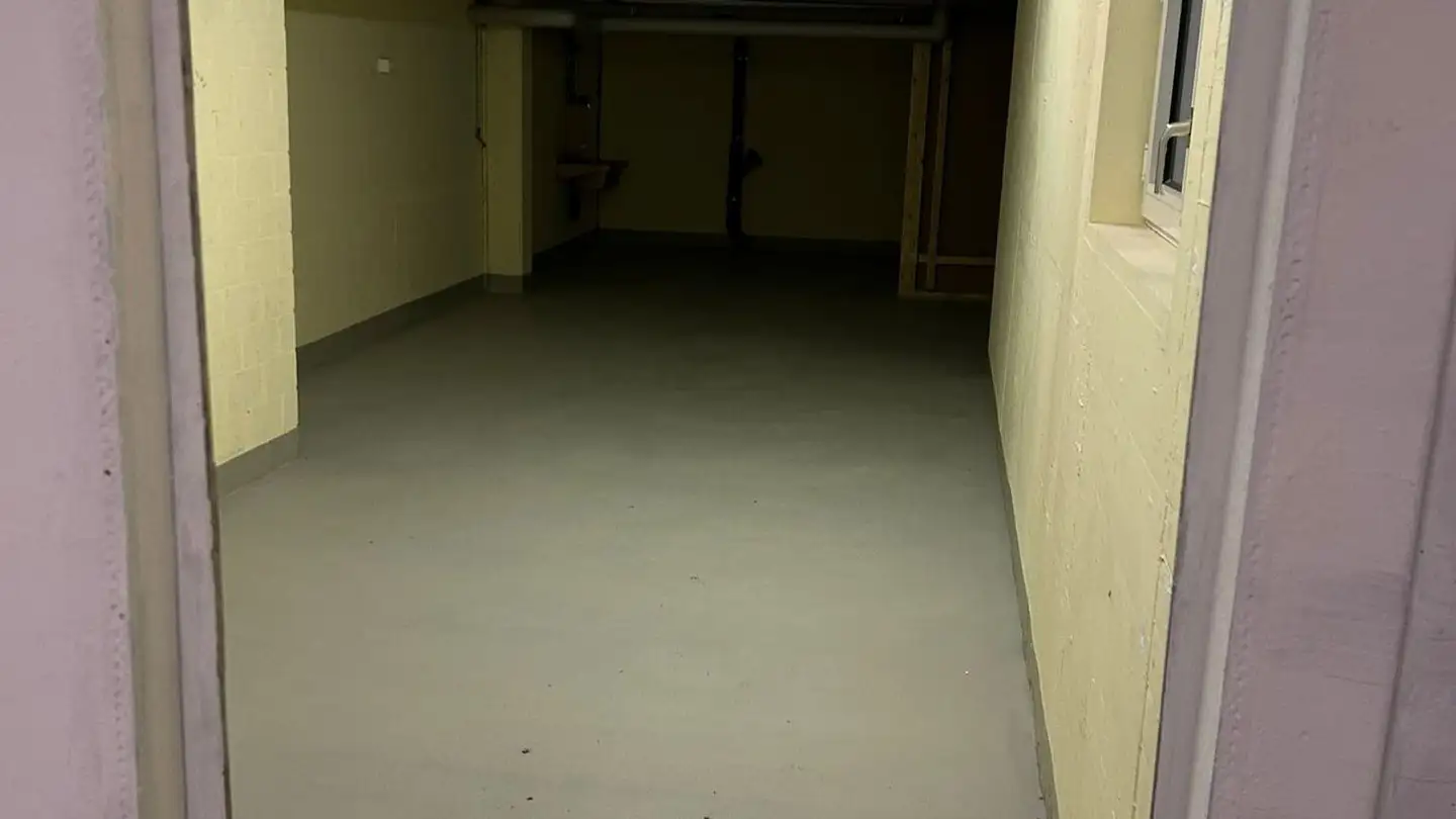 Lagerraum mieten - Limmattalstrasse 46, 8954 Geroldswil