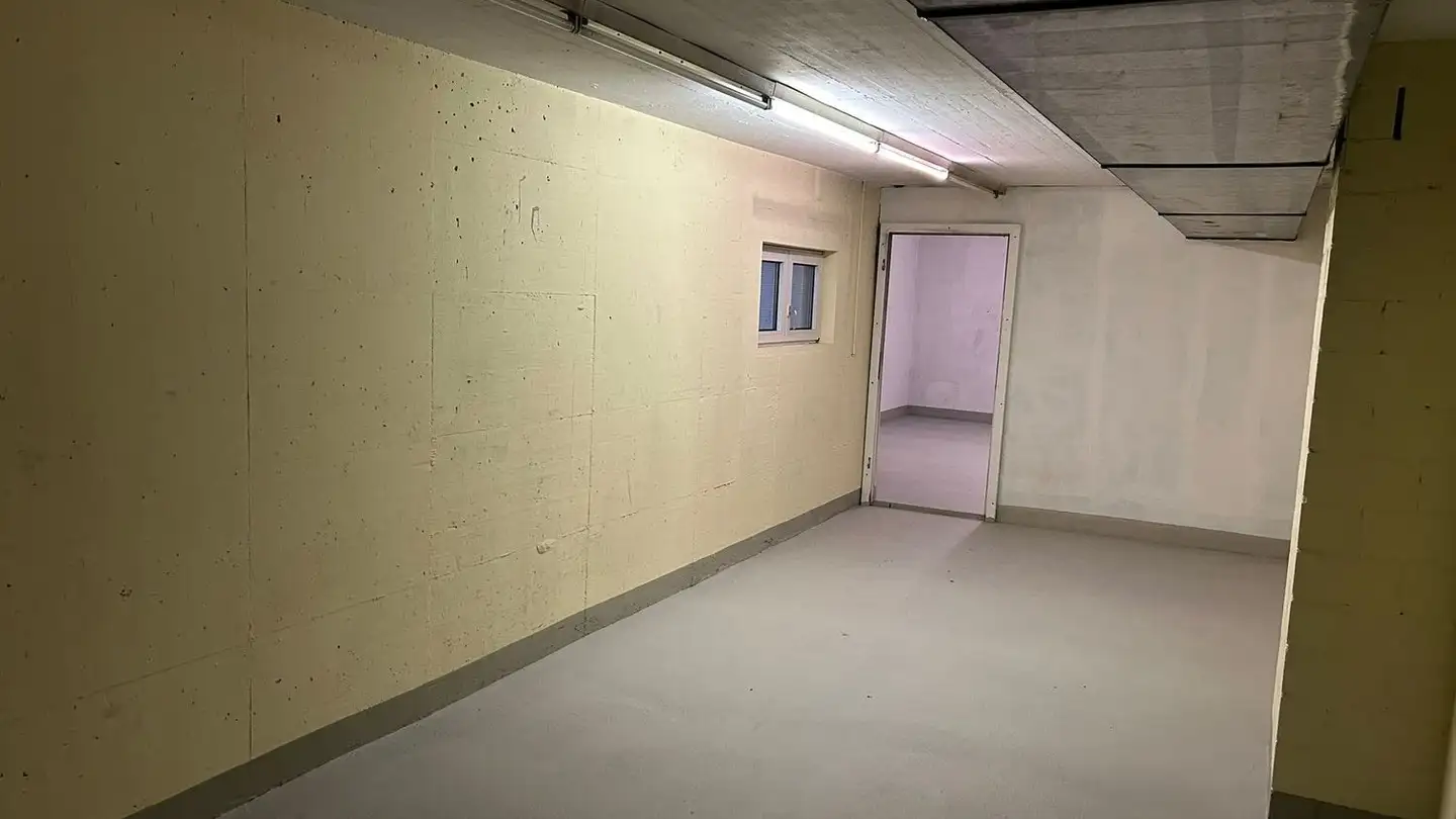 Lagerraum mieten - Limmattalstrasse 46, 8954 Geroldswil - Foto 2