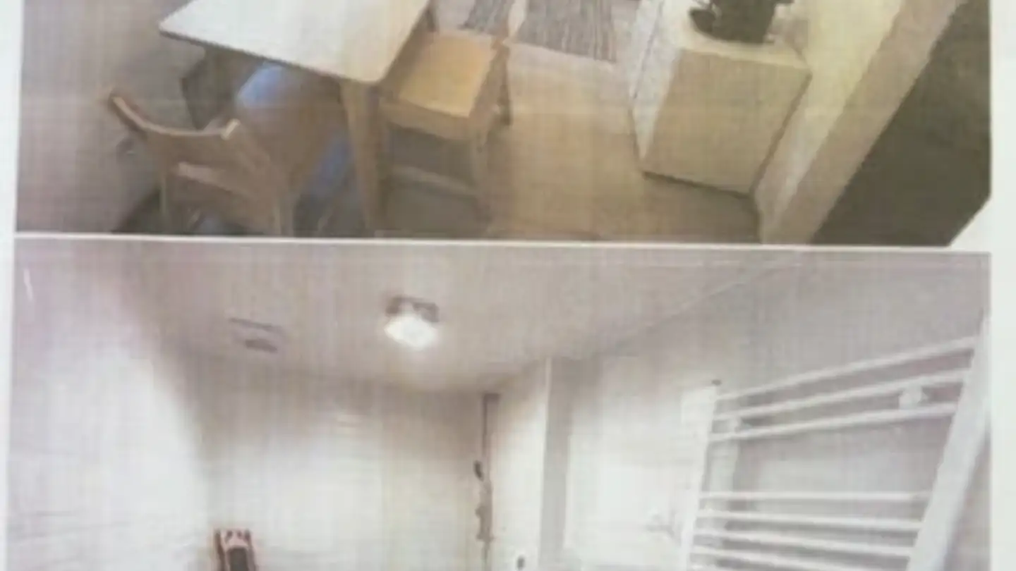 Wohnung mieten - Via Ai Ronch 2, 6556 Leggia - Foto 3