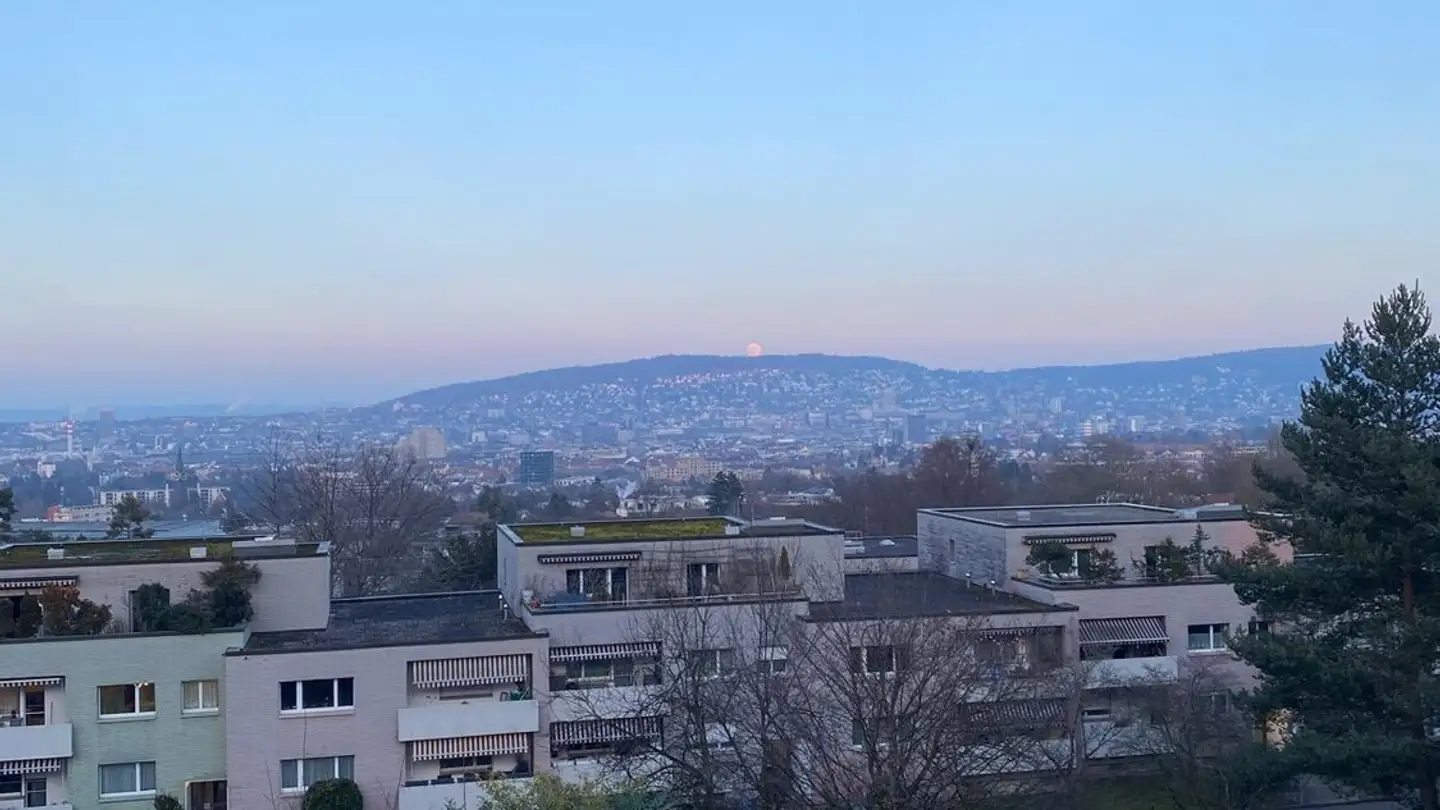 Single room for rent - 8055 Zürich - Photo 2