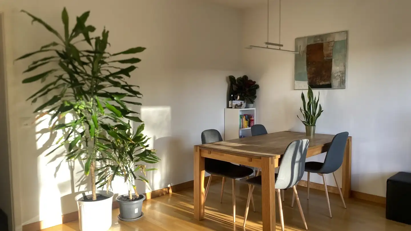 Möblierte Wohnung mieten - Aarestrasse 48, 3052 Zollikofen