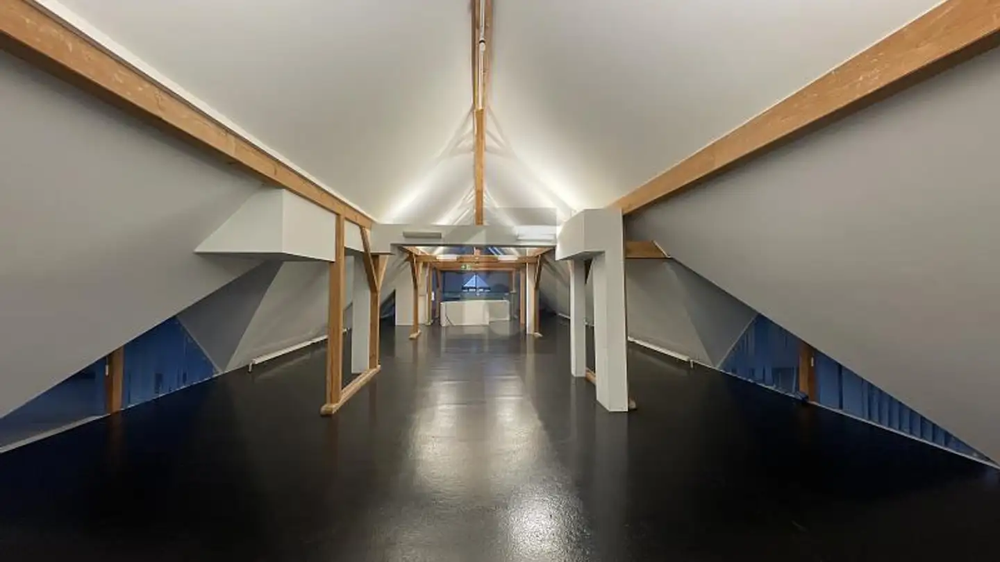 Office space for rent - 4625 Oberbuchsiten - Photo 2