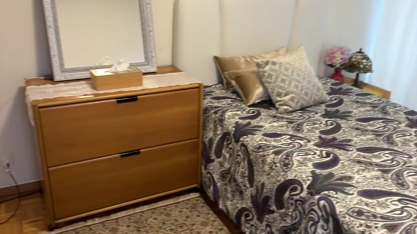Appartamento ammobiliato in affitto - 1260 Nyon
