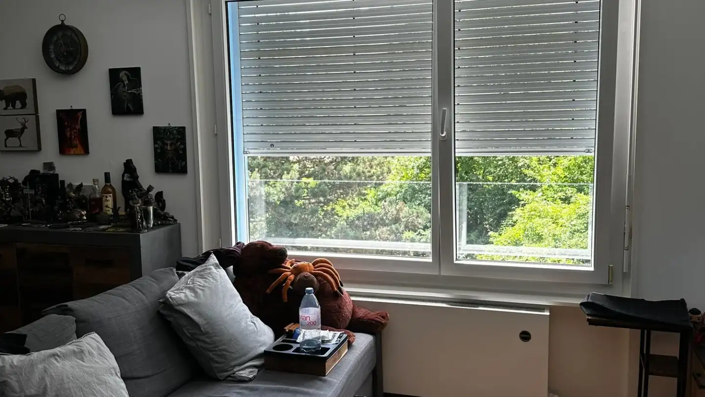 Appartamento in affitto - Chemin De La Grosse-Pierre 5, 1110 Morges - Foto 4