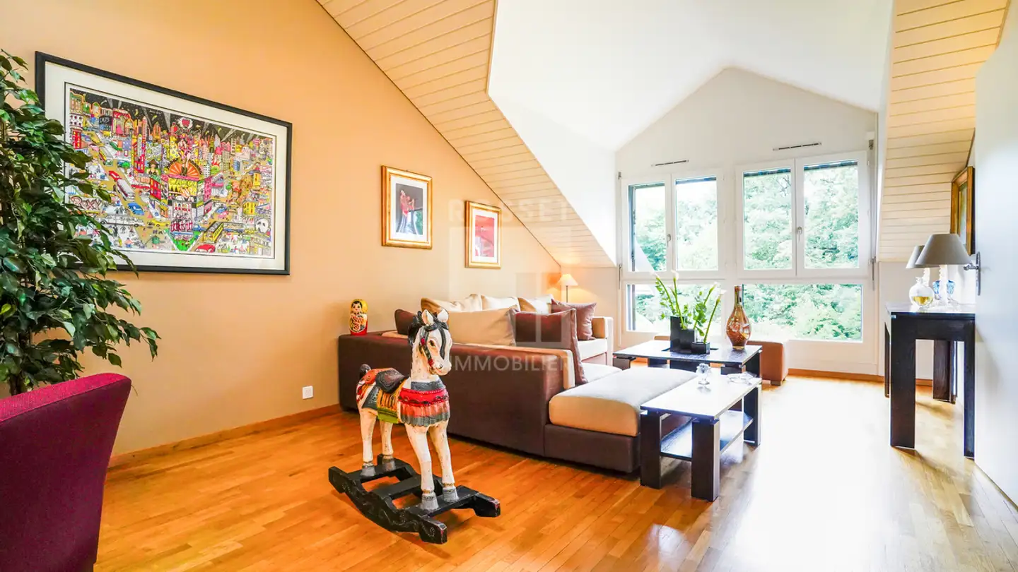 Attique à vendre - 1227 Carouge GE - Photo 3