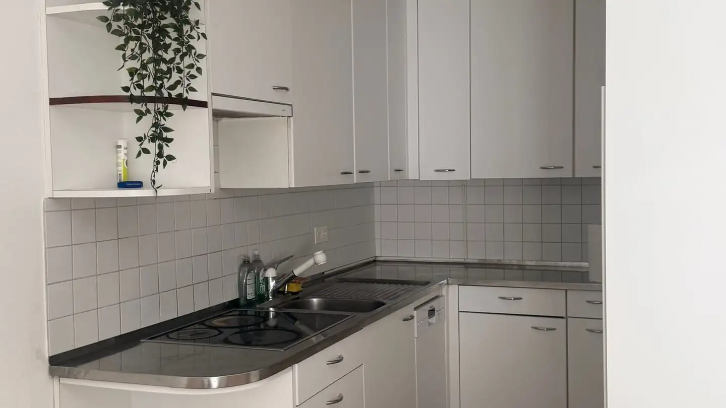 Single house for rent - 6600 Muralto - Photo 4