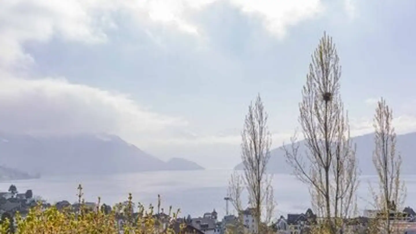 Wohnung mieten - Pannereggstrasse 7, 6353 Weggis - Foto 2