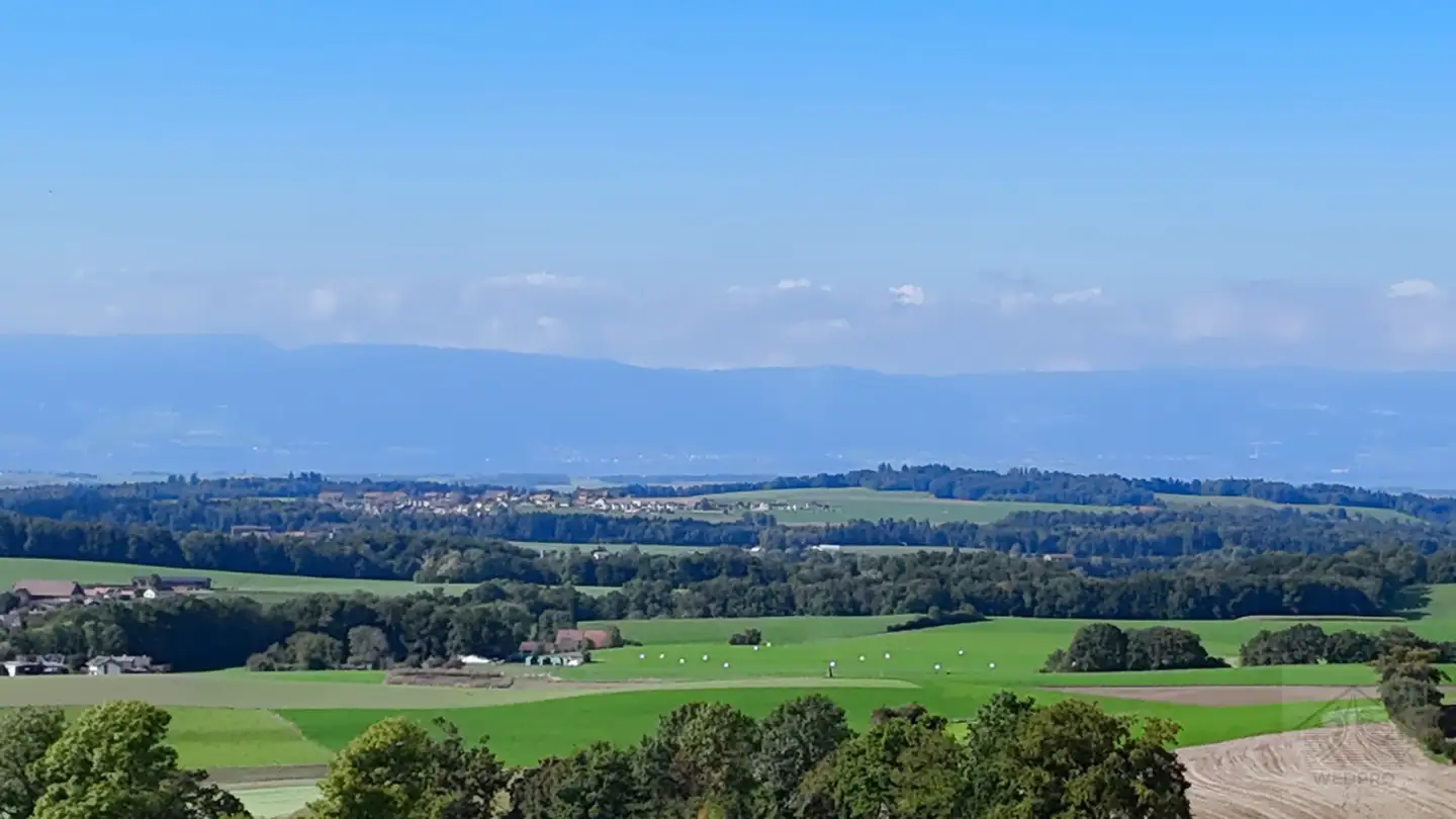 Maison individuelle à vendre - 1745 Lentigny