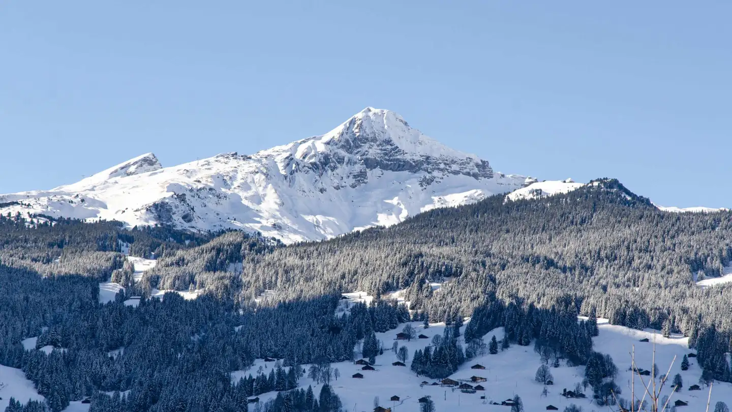 Appartamento in vendita - Spillstattstrasse 63, 3818 Grindelwald - Photo 3