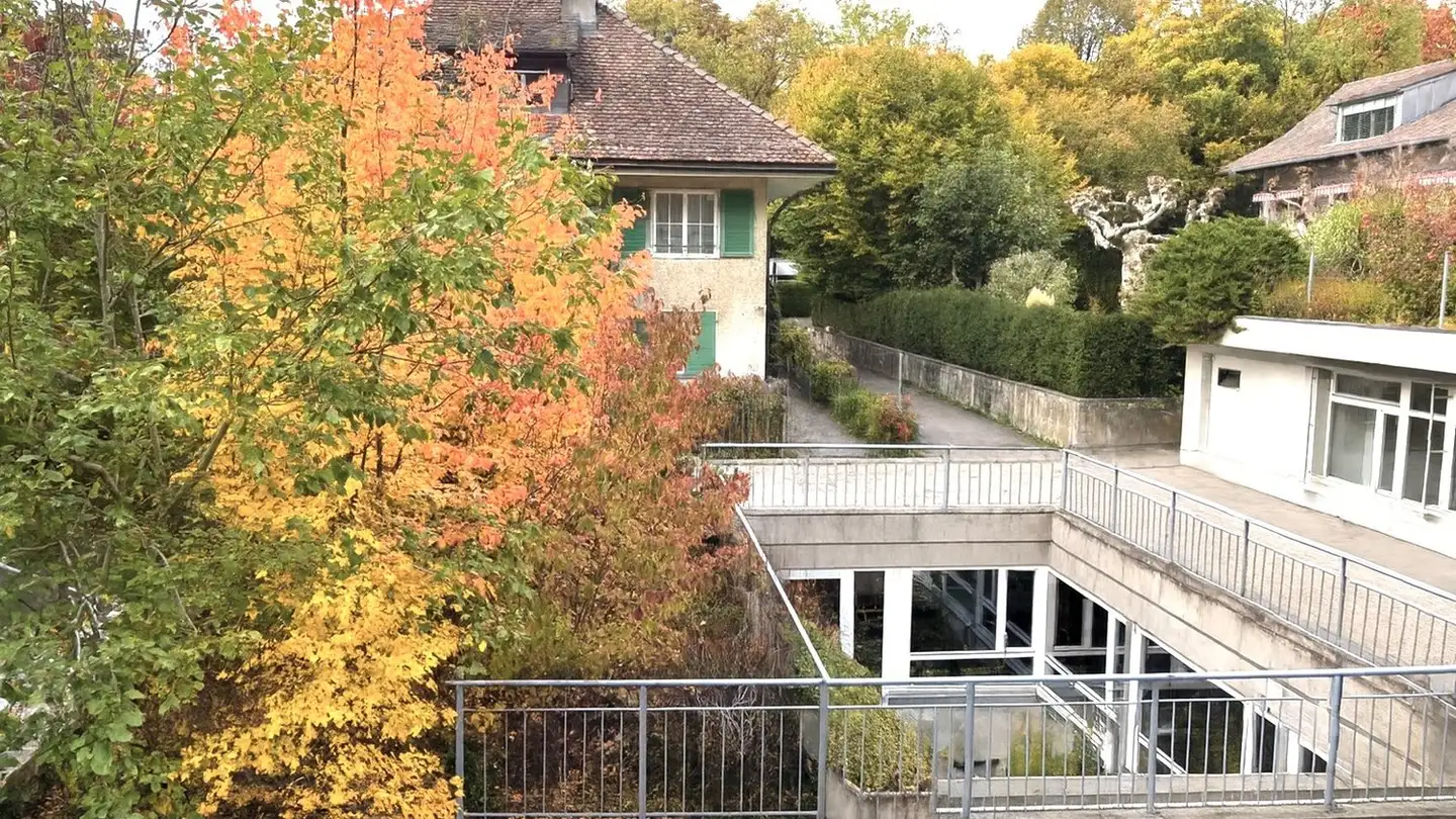 Office space for rent - Willadingweg 54a, 3006 Bern - Photo 3