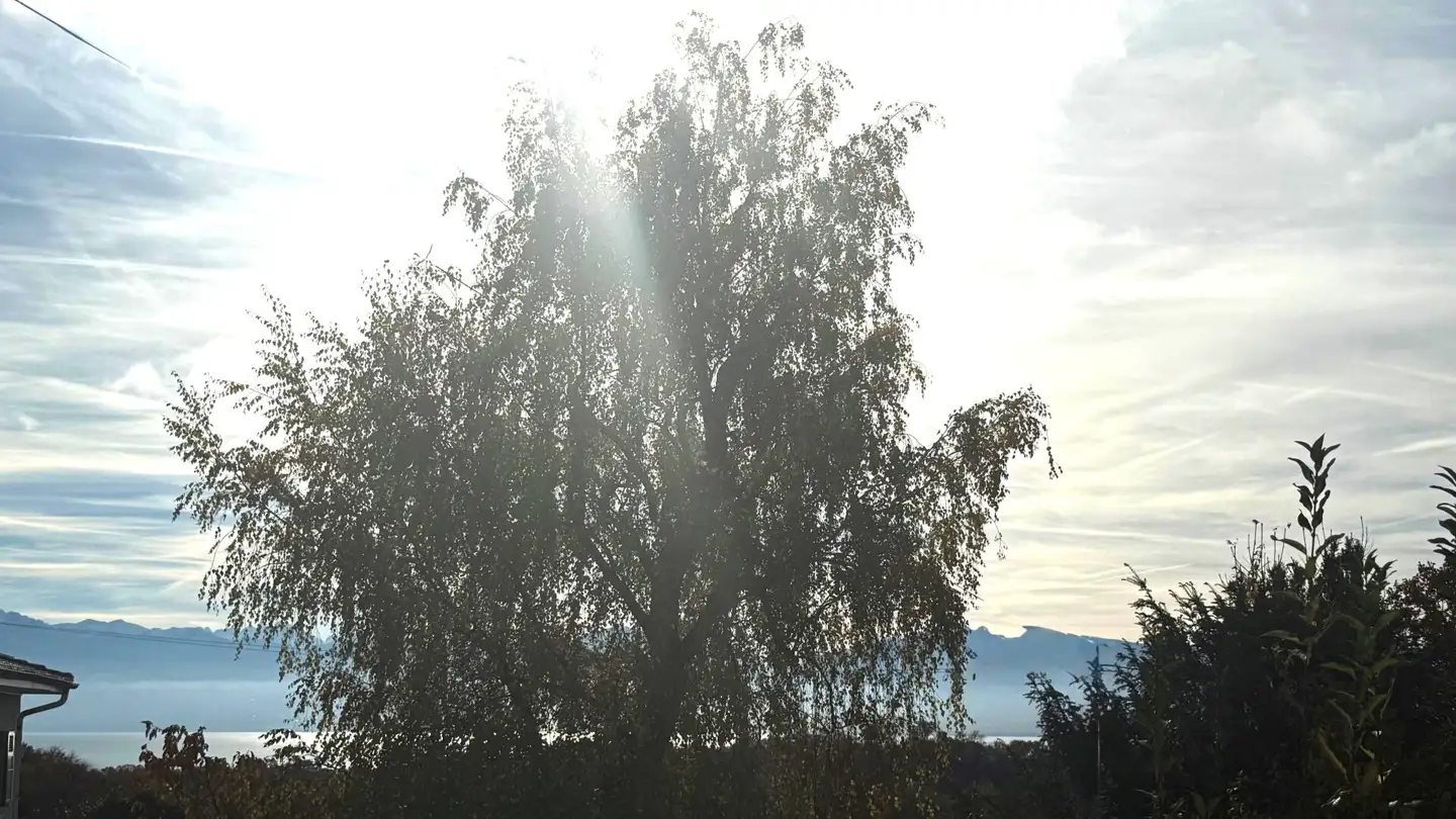 Einfamilienhaus kaufen - 1132 Lully VD - Foto 4