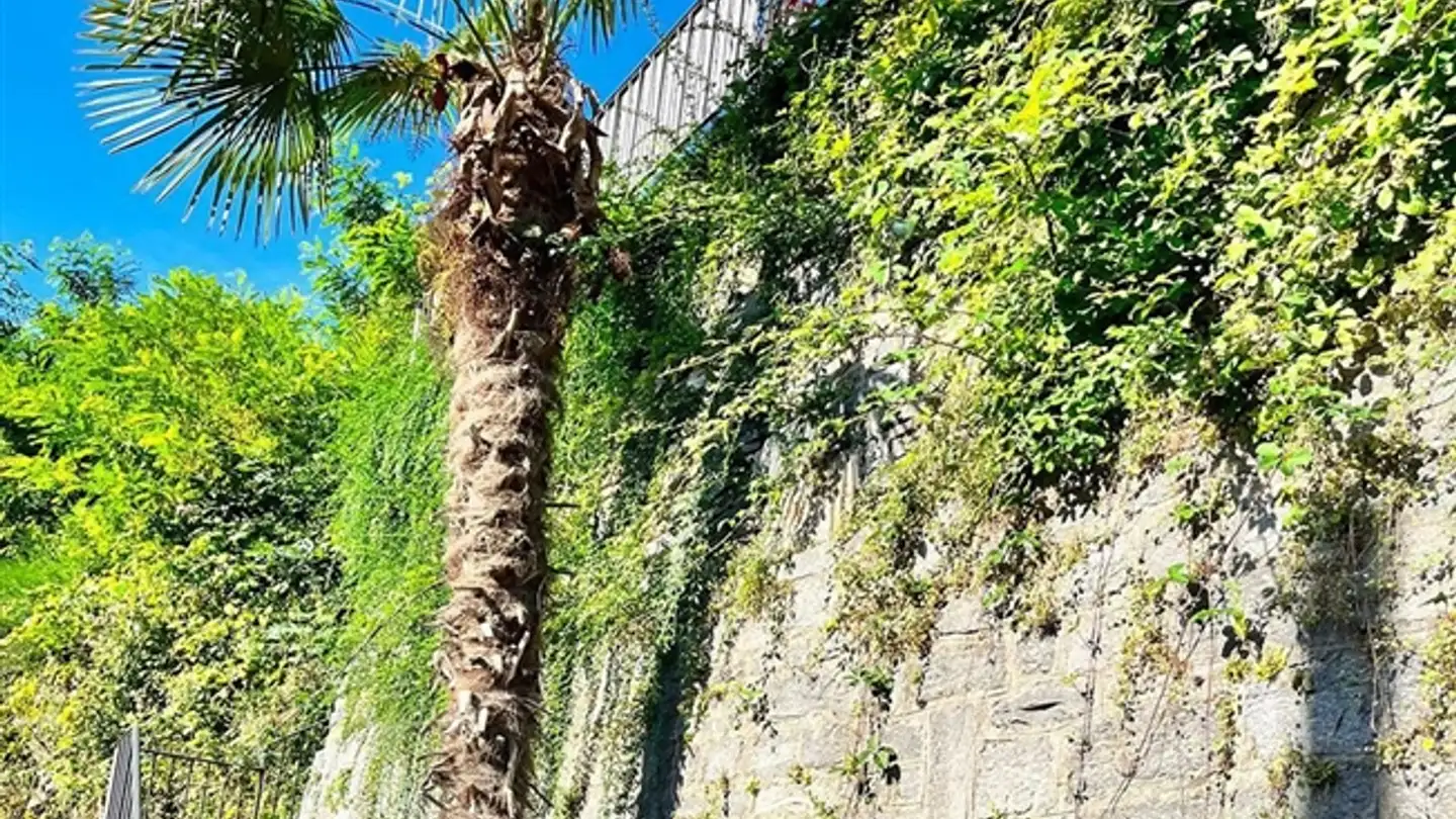 Villa kaufen - 6616 Losone - Foto 2