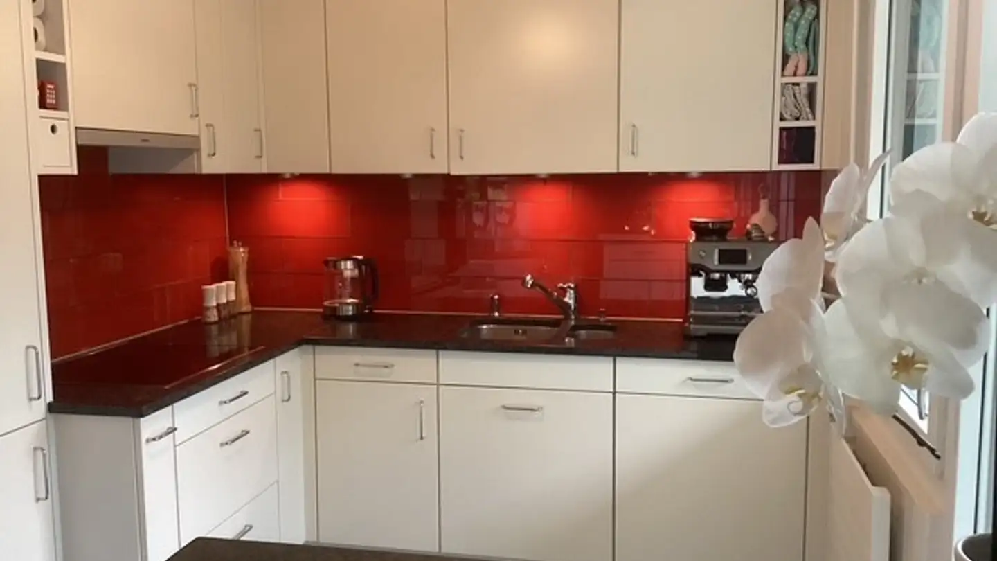 Appartamento in affitto - Eierbrechtstrasse, 8053 Zürich - Foto 3