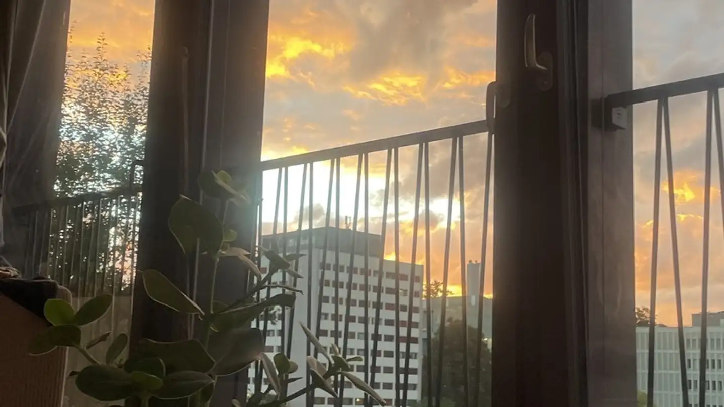 Chambre à louer - 6004 Luzern - Photo 4