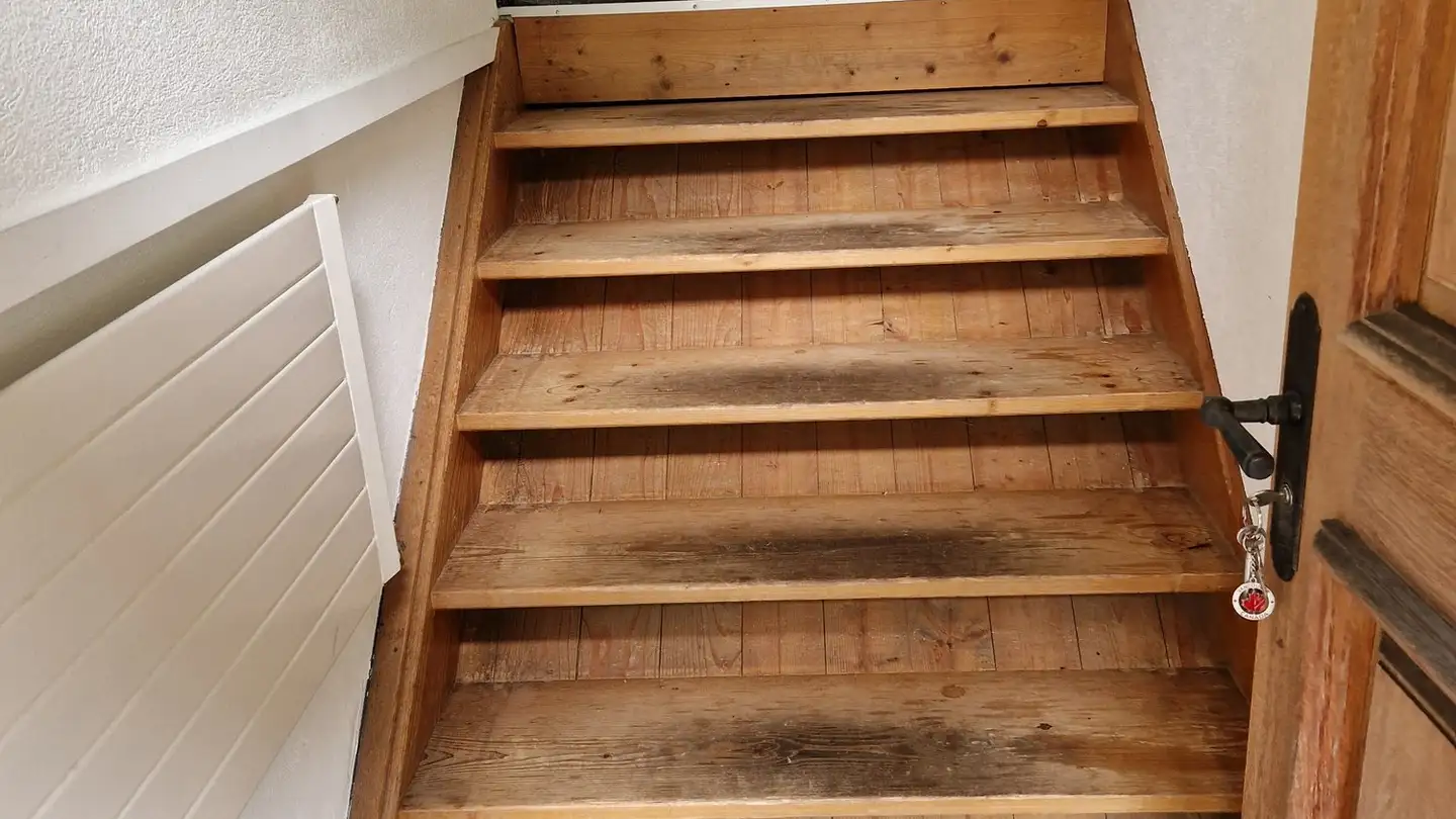 Chambre à louer - Alpsteinstrasse 69, 9100 Herisau - Photo 2