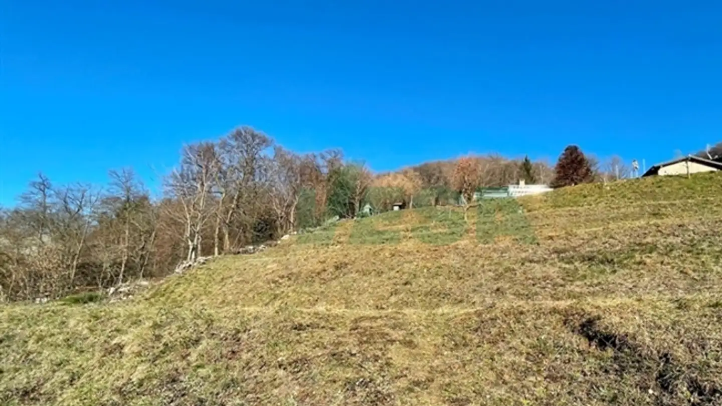 Appartement à vendre - 6821 Rovio - Photo 3