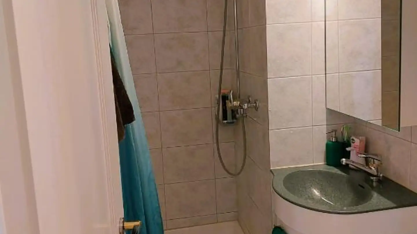 Appartamento in affitto - Untere Lättenstrasse 5, 8954 Geroldswil - Foto 4