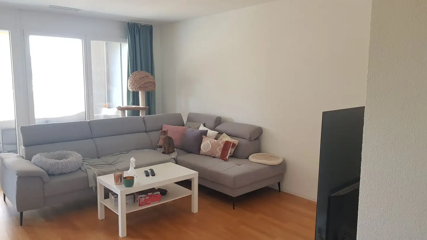 Appartamento in affitto - Dr. Zuber-Strasse 6a, 3072 Ostermundigen - Foto 4