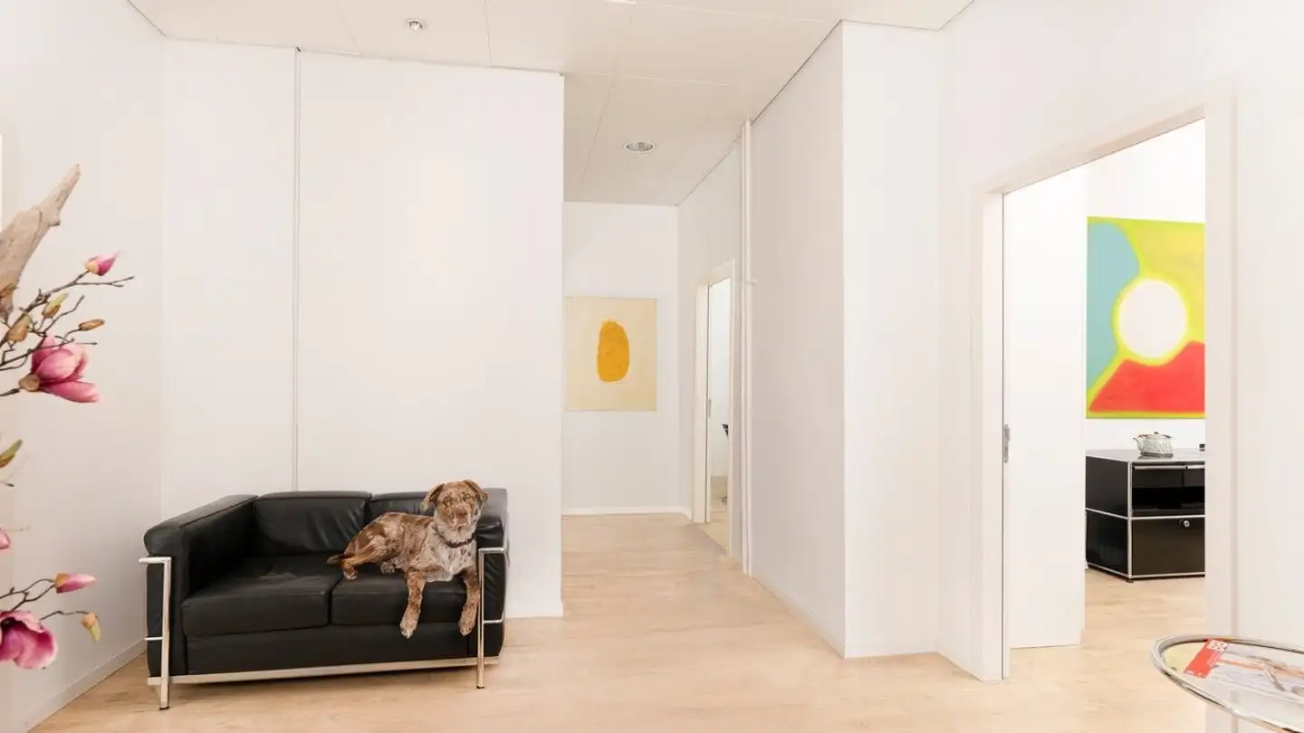 Appartement meublé à louer - Fraumünsterstrasse 15, 8001 Zürich