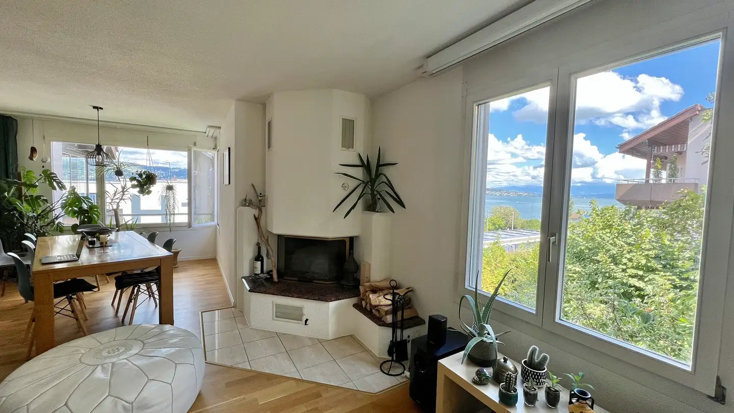 Apartment for rent - 8820 Wädenswil